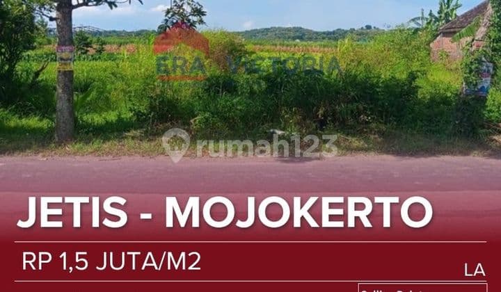 Kesempatan Emas Punya Tanah dengan Potensi Kenaikan Nilai Tinggi!Berlokasi Persis di Pinggir Jalan Raya Provinsi dengan Akses Super Mudah dan Visibilitas Maksimal.