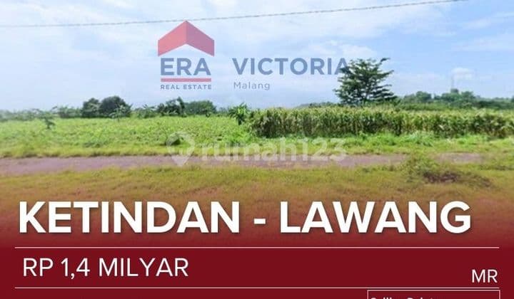 Tanah Dijual Lawang - Dekat Kebun Teh Wonosari & Pasar Lawang