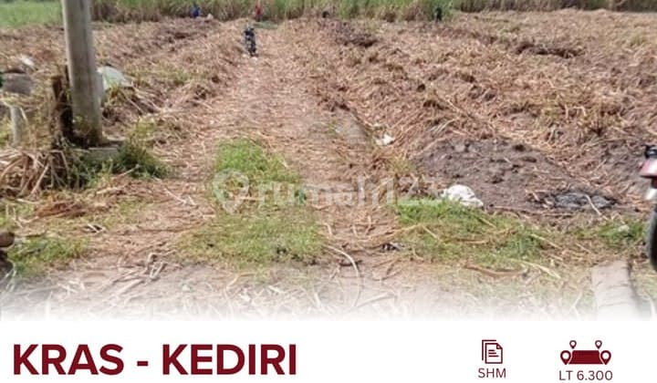 Dijual Tanah Sawah Di Kras Kab Kediri Jalan Nasional Kediri - Tulungagung Cocok Untuk Pertanian