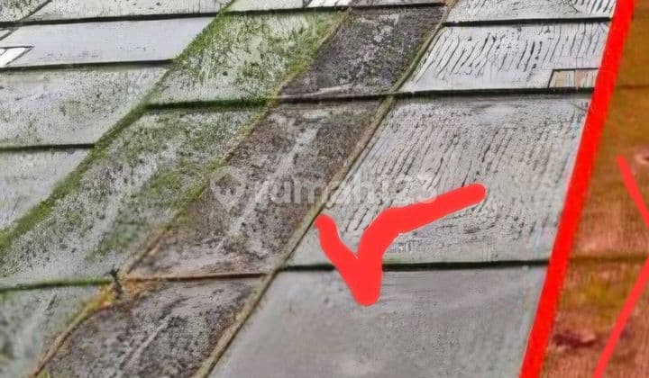 Tanah Premium Zona Pariwisata 10 Menit Jalan Kaki ke Pantai Kelating Tabanan