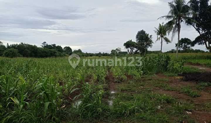 Industrial Land for Sale in Serang, Banten