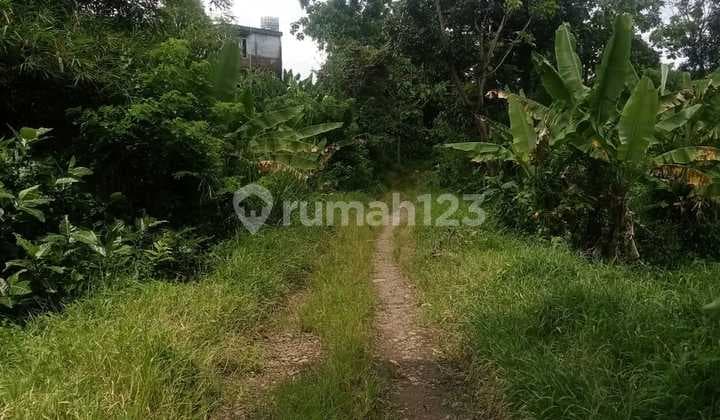 LAND FOR SALE IN DISENTUL, BOGOR