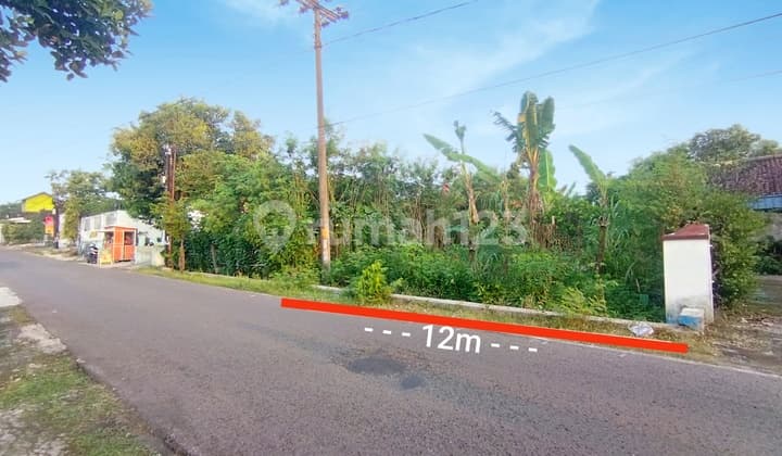 Tanah Pekarangan Untuk Dibangun Rumah Cafe Kos Dan Usaha Lain