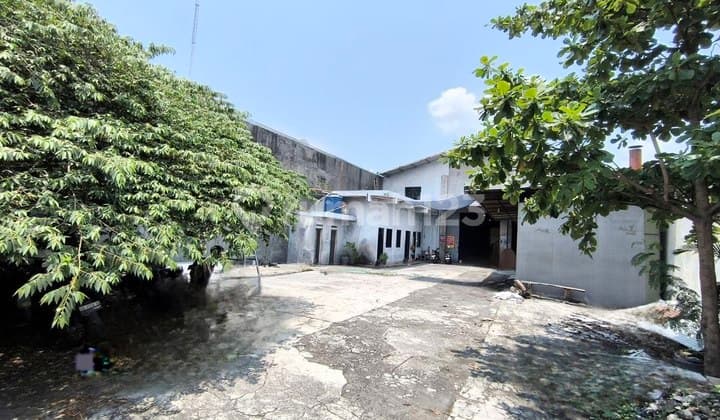 Gudang Aktif Produksi Palet Include Mesin Produksi