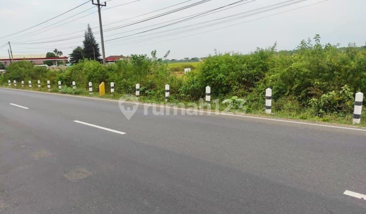 Tanah Pinggir Jalan Raya Strategis Sragen Murah Zona Industri