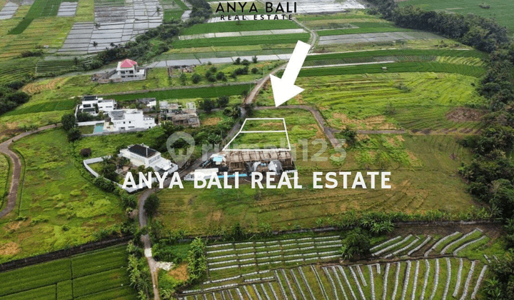 Tanah 6,3 Are Dekat Pantai Kedungu Tabanan