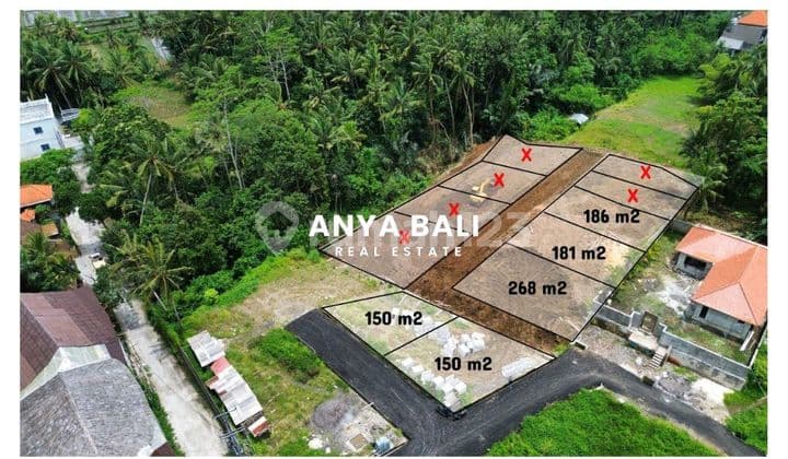 Tanah Kavling 181 M2 Singakerta Ubud