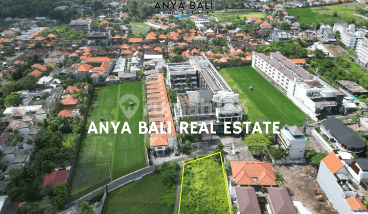 Tanah 10 Are Zona Pink Petitenget Seminyak