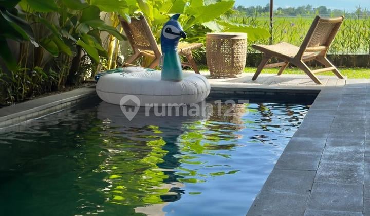 Brand New Beautiful Villa With Ricefield View In Kedungu Tabanan Bali.