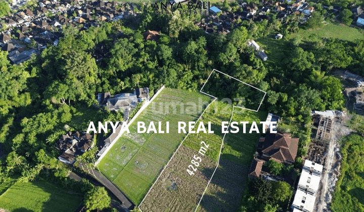 Leasehold Land 4285 M2 In Buwit Near Nyanyi Tabanan Bali
