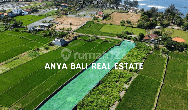 Tanah Murah 33,9 Are Dekat Pantai Keramas Gianyar