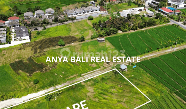 Tanah 18 Are View Sawah Dekat Pantai Nyanyi Tabanan