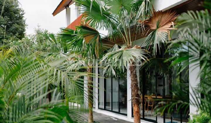 Brand New Luxury Villa 4 Bedrooms Kemenuh Ubud Bali