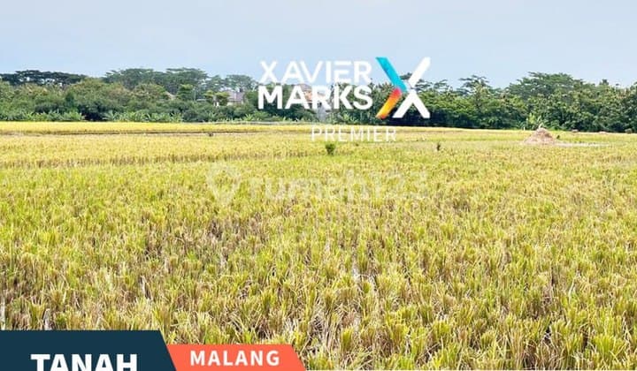 Cheap Land Located Across from Wendit Pakis Malang Tourism