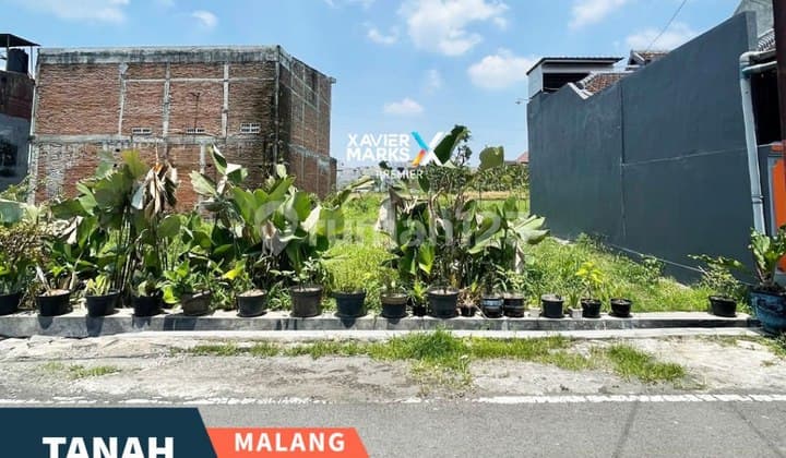 Tanah Strategis Siap Bangun di Teluk Grajakan Pandanwangi Blimbing Malang