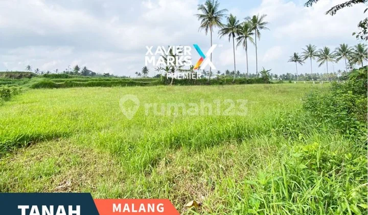 Tanah Sawah di Desa Sidorejo Jabung Malang