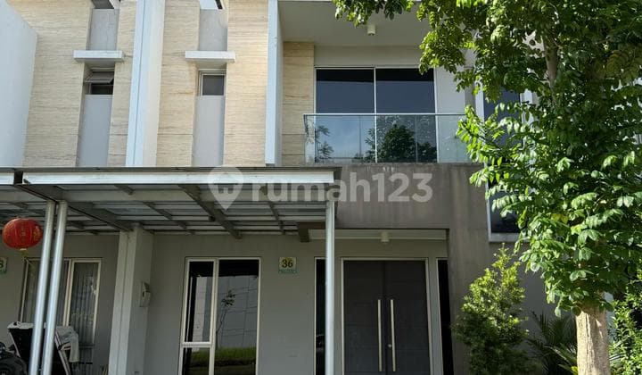 Termurah Sewa Rumah Golf Island PIK 8x20 Siap Pakai