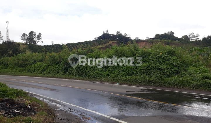 TANAH KABANJAHE MEREK