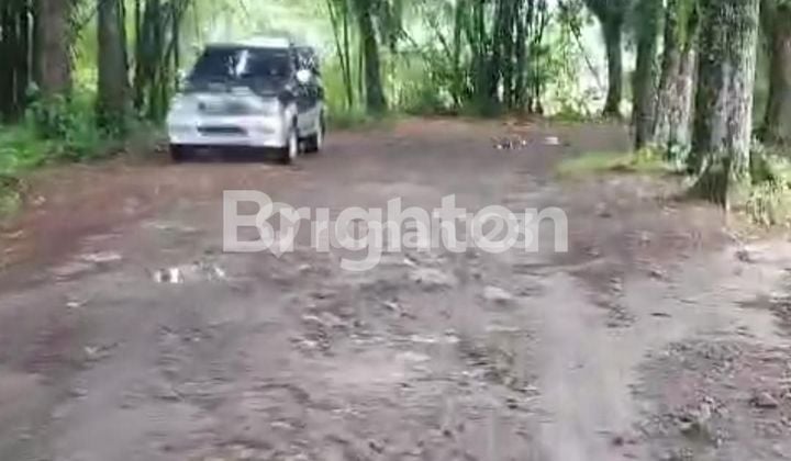 TANAH 6HA TANJUNG SELAMAT SUNGGAL DELI SERDANG Medan Sumatera Utara nego