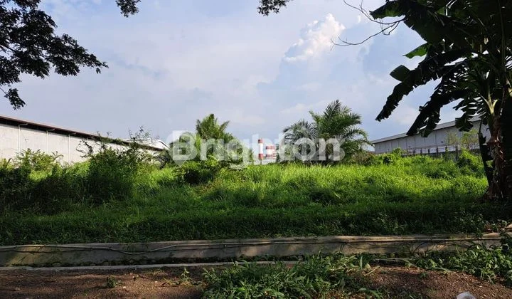 TANAH KIM 3 PULAU SAPARUA 2 MEDAN LABUHAN TANAH KIM 3 PULAU SAPARUA 2 MEDAN LABUHAN