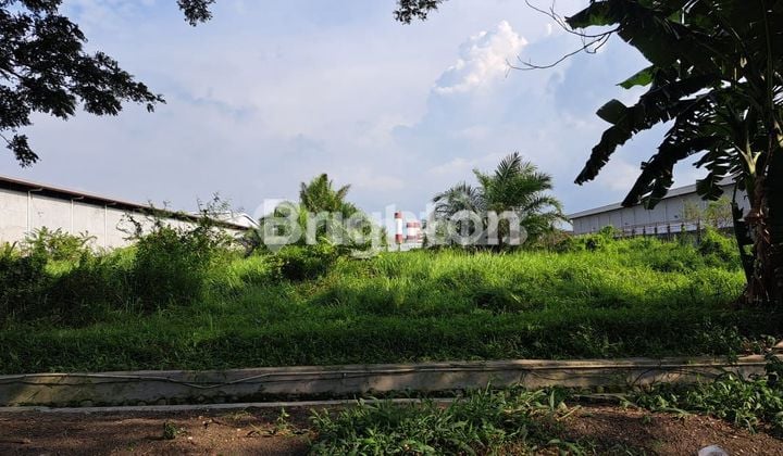 TANAH KIM 3 PULAU SAPARUA 2 MEDAN LABUHAN