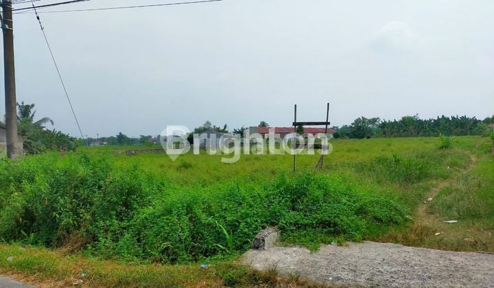 TANAH RAMBUNGAN BATANG KUIS