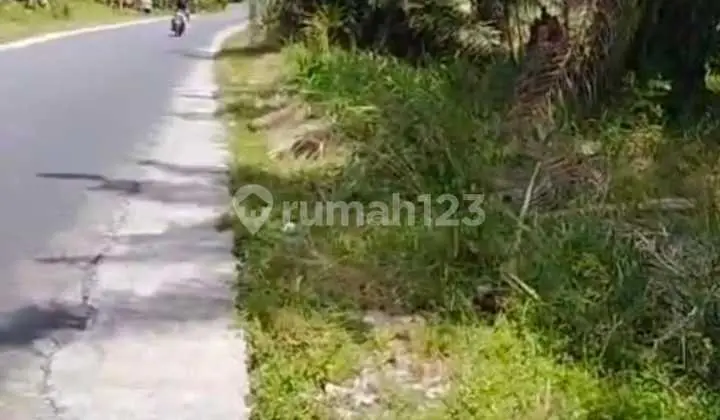 Crossing Land for Coal, Kwala Tanjung, Sei Suka, North Sumatra