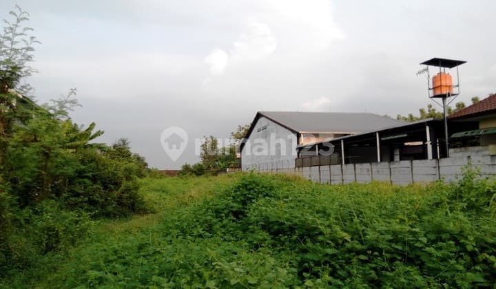 Tanah Cocok Untuk Gudang Atau Industri di Montongsari, Weleri