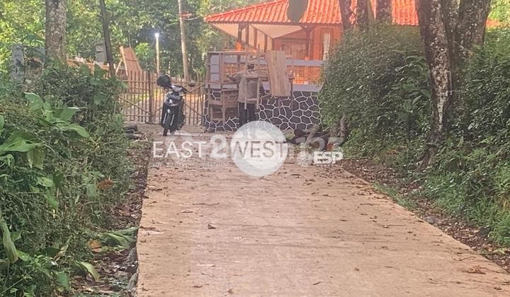Jual Kavling Perkebunan Pinggir Jalan Desa Padaluyu Cugenang Cianjur