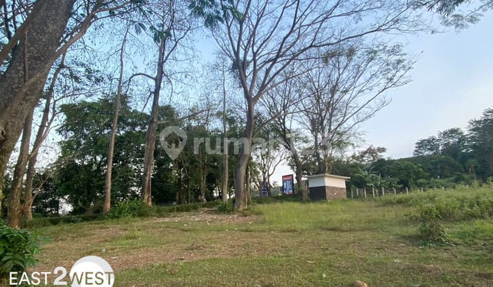 Jual Murah Kavling Cluster Hijau Alami The Taman Dayu Pasuruan