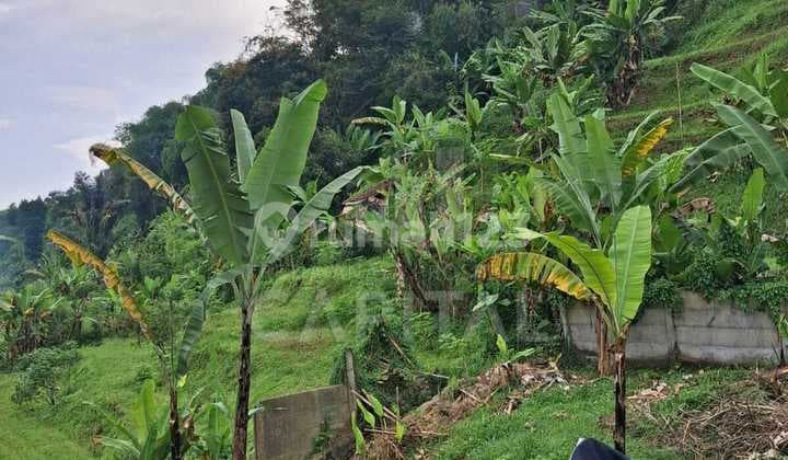 Tanah Okosongdi Sariwangi Bandung