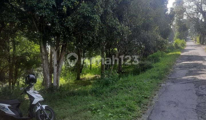 Kavling Murah di Jalan Baru Laksana Lokasi Tidak Jauh Dari Pasar Lembang