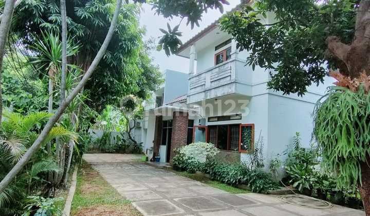 Rumah Luas Berikut Halaman Dii Belakang Citos