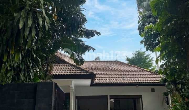 Rental House in Kemang, Quiet and Secluded Location