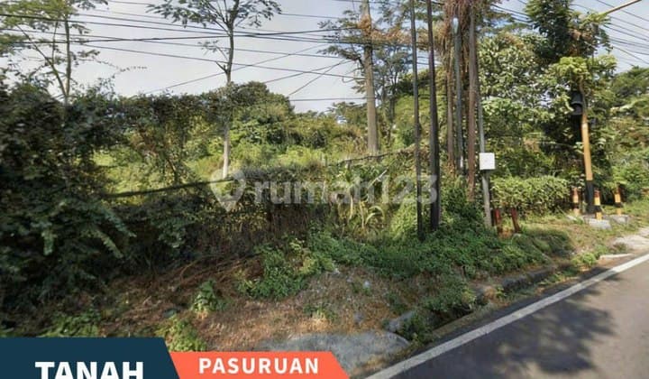 Dijual Tanah Luas di Jl Raya Propinsi di Purwodadi Kab. Pasuruan