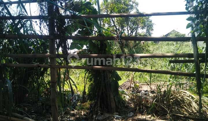 Jual Kebut Tanah Mainroad Baleendah Siap Cuan Gudang Ruko Retail Bandung