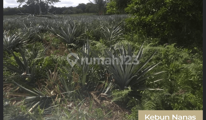 Tanah Siap Pakai di Jalan Parit Sembin