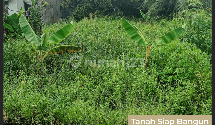 Tanah Siap Pakai di Jalan Transkalimantan