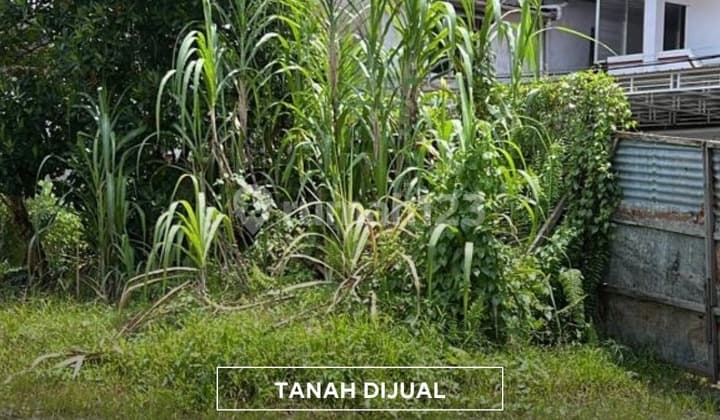 Tanah Cocok Untuk Bangun Gudang Dan Ruko Jl. Siantan pontianak