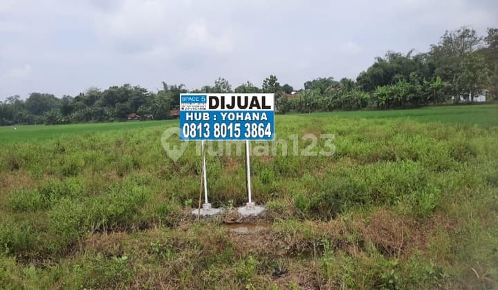 Jual Cepat Tanah Kavling Di Ujung Jaya Sumedang Jawa Barat