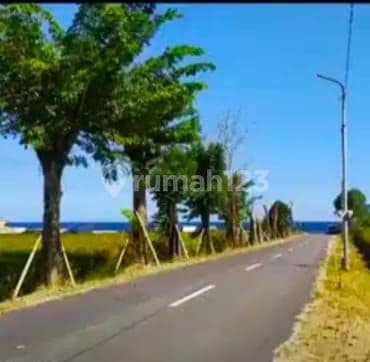 For Sale Land In Gianyar, Bali