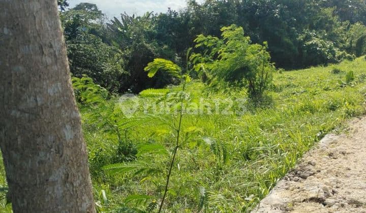 Tanah Premium Dekat Pantai Kedungu Bali