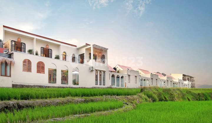 2 Bedroom Villa with Rice Paddy View in Canggu