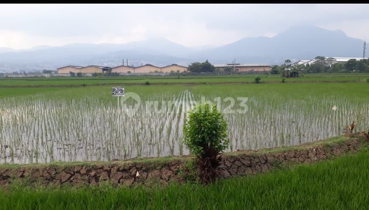 Dijual Tanah di Jalan rumah sakit 35000 m² SHM Strategis