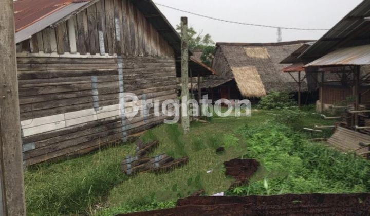 tanah km 7 ada kandang n rumah