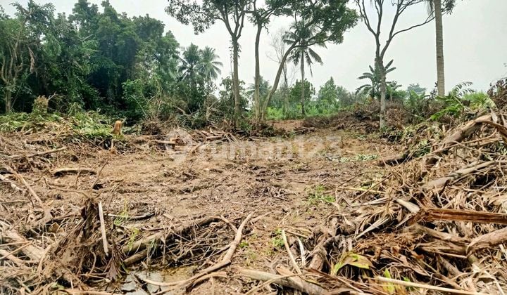 Tanah Sewajl Nurdin Panji