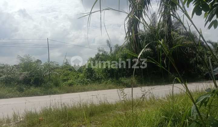 DIJUAL! TANAH DI KAMPAR, RIAU