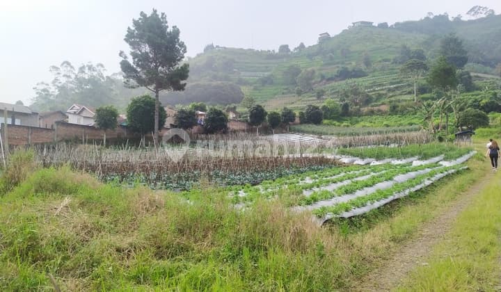Tanah di Jl. Tangkuban Perahu dekat Hotel Puteri Gunung
