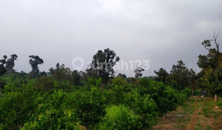 Tanah dijual di lokasi strategis Cianjur