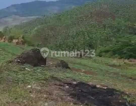 Dijual Tanah Agrowisata Kendal